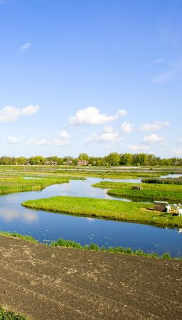 Eropuit in Noord-Holland