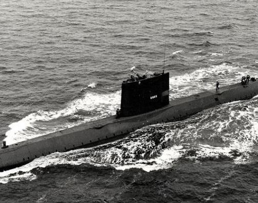 Tonijn op zee