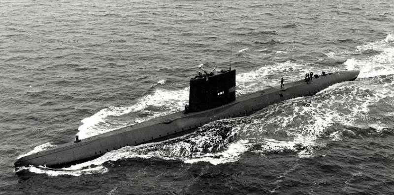 Tonijn op zee